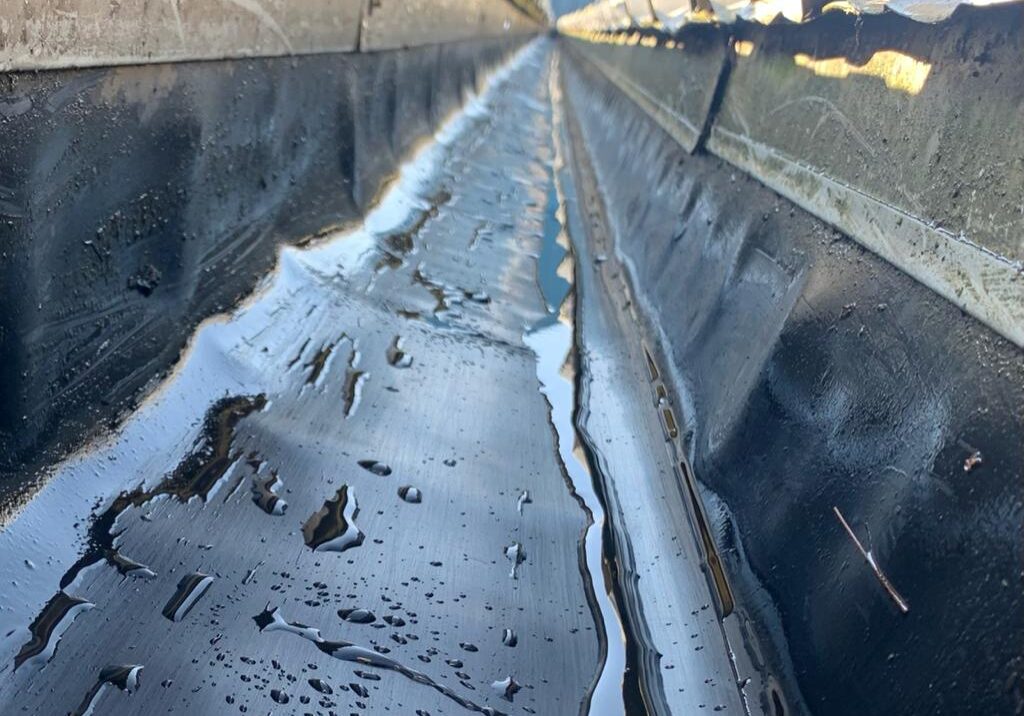 475524473_1308553063728284_2211439882454836234_n